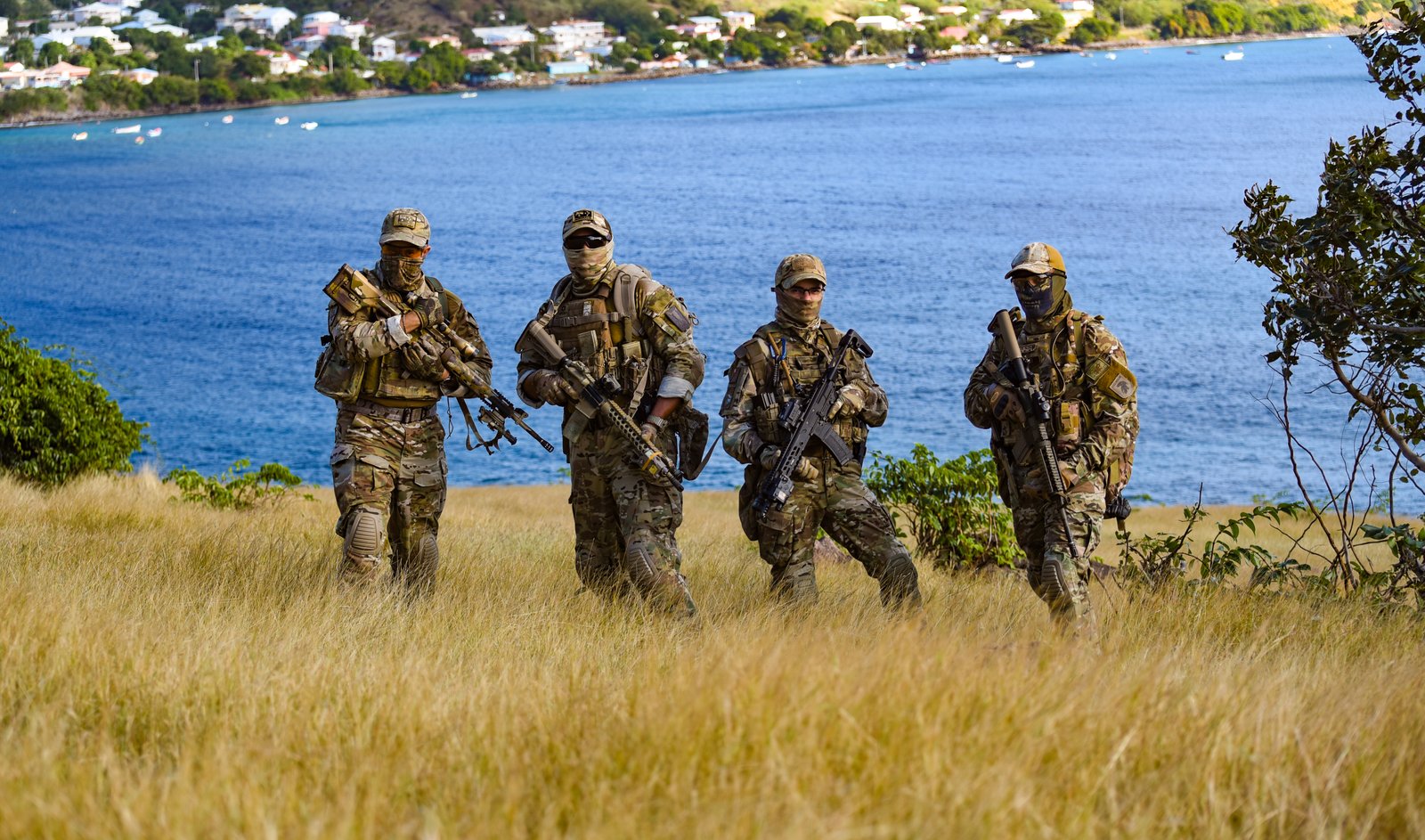 Dark Wolfs Airsoft